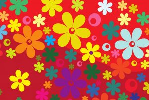 コーディネート